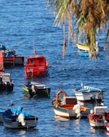 assorted-color boat lot