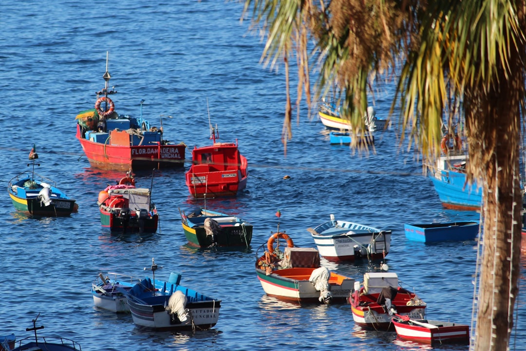 assorted-color boat lot, Câmara De Lobos fishing boats