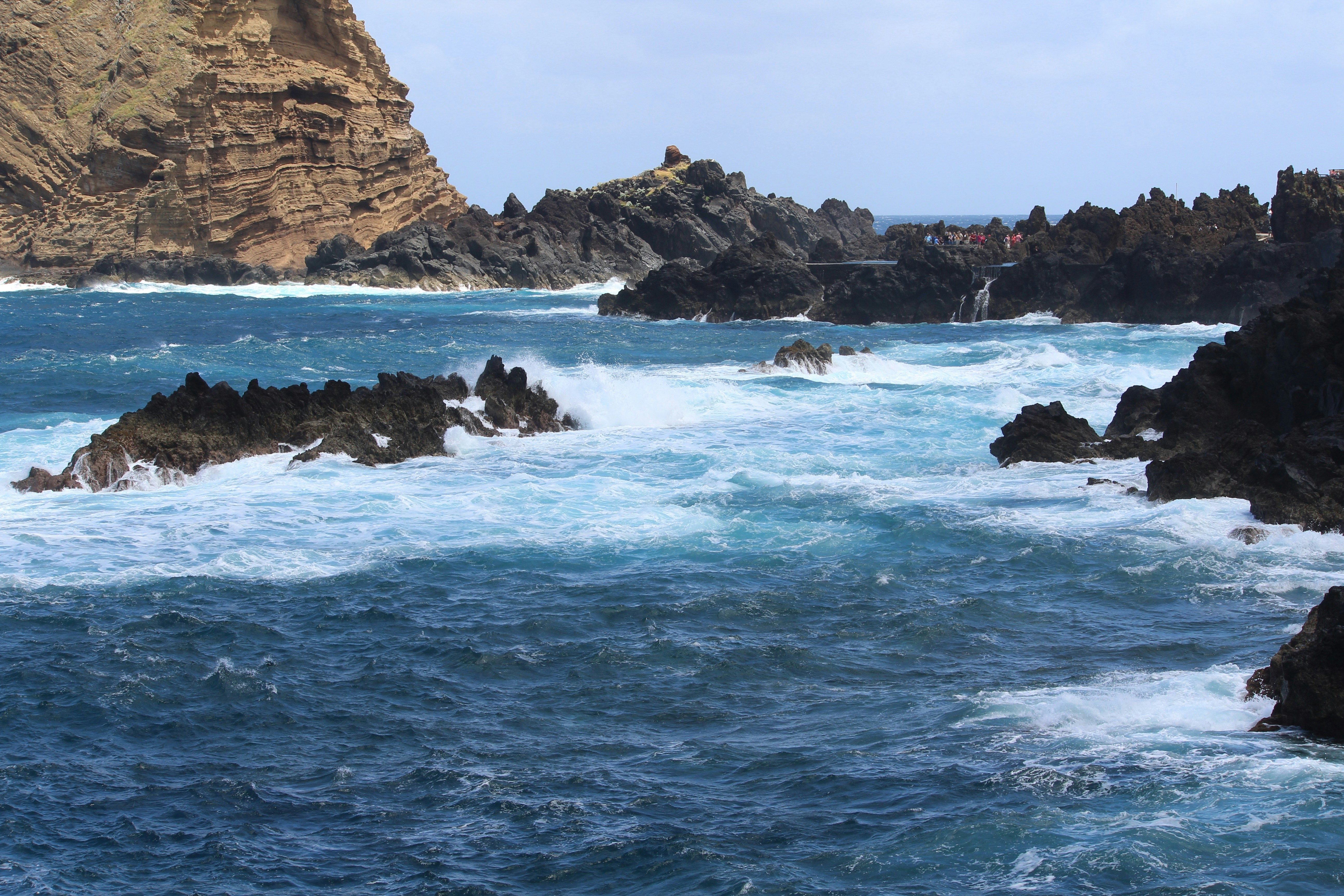 Photo by protopopica