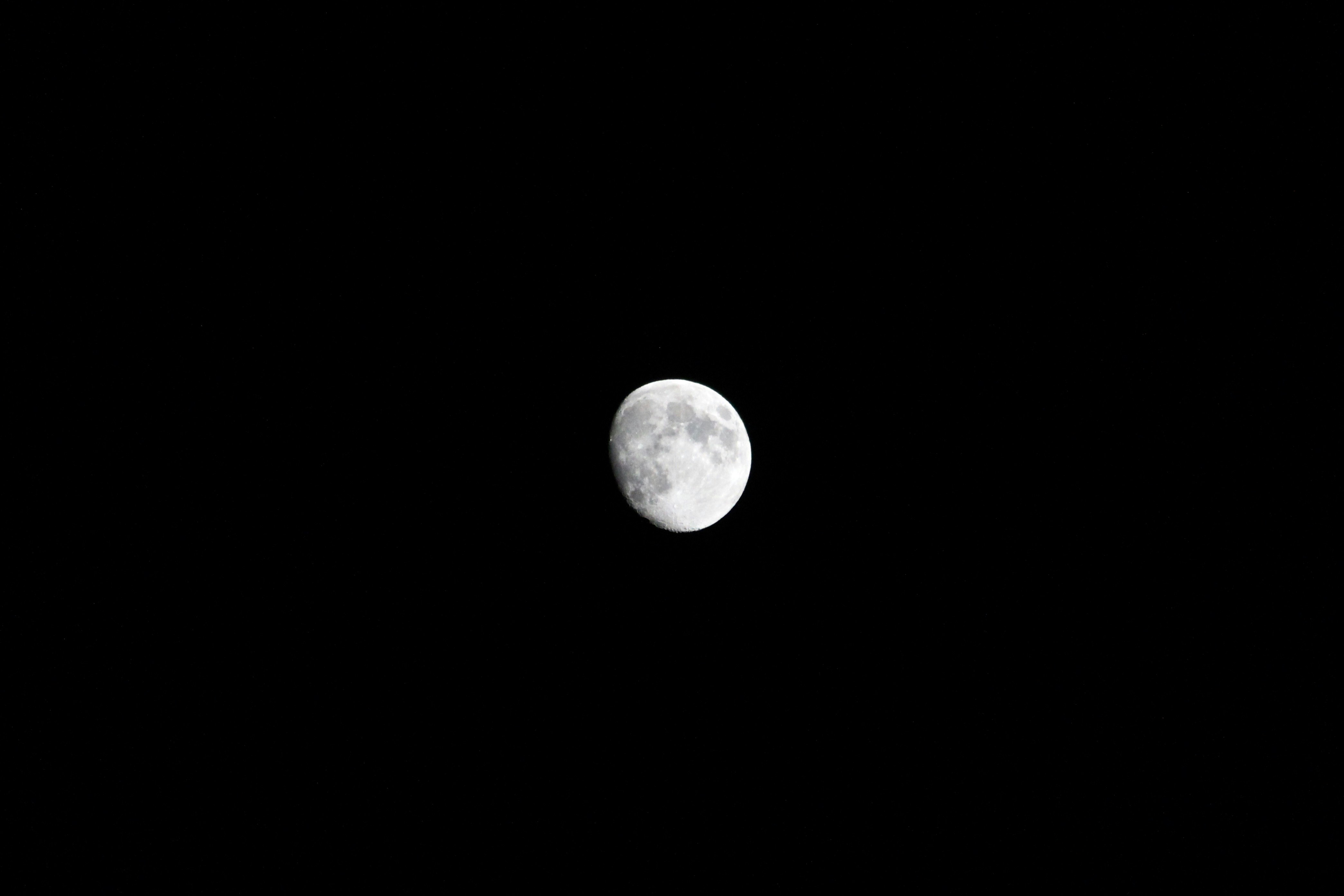Neptune's Moon Triton Orbits Backwards (image credits: unsplash)