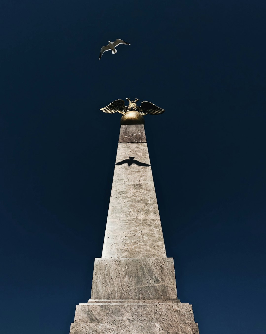 low-angle photography of concrete tower and flying bird