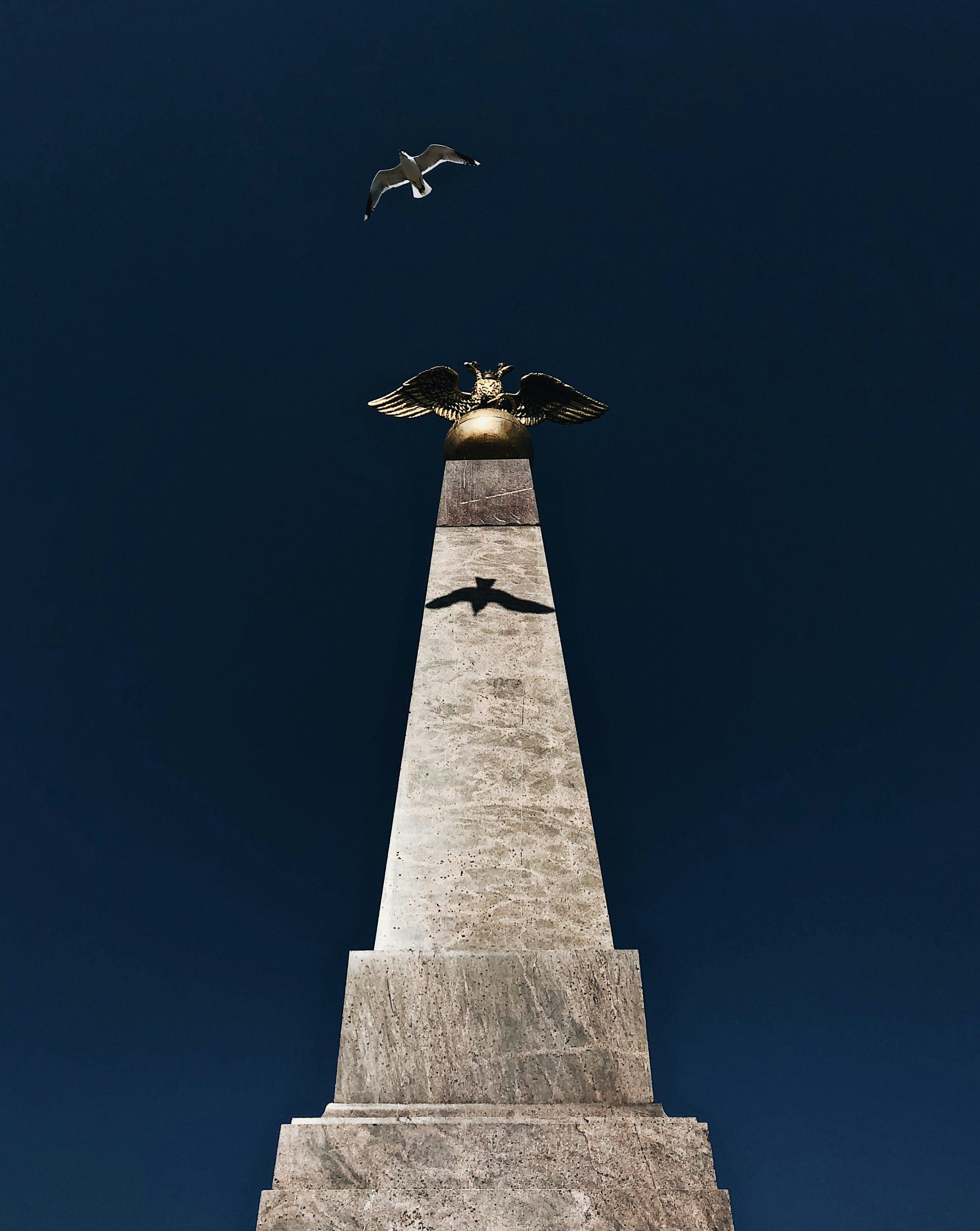 low-angle photography of concrete tower and flying bird