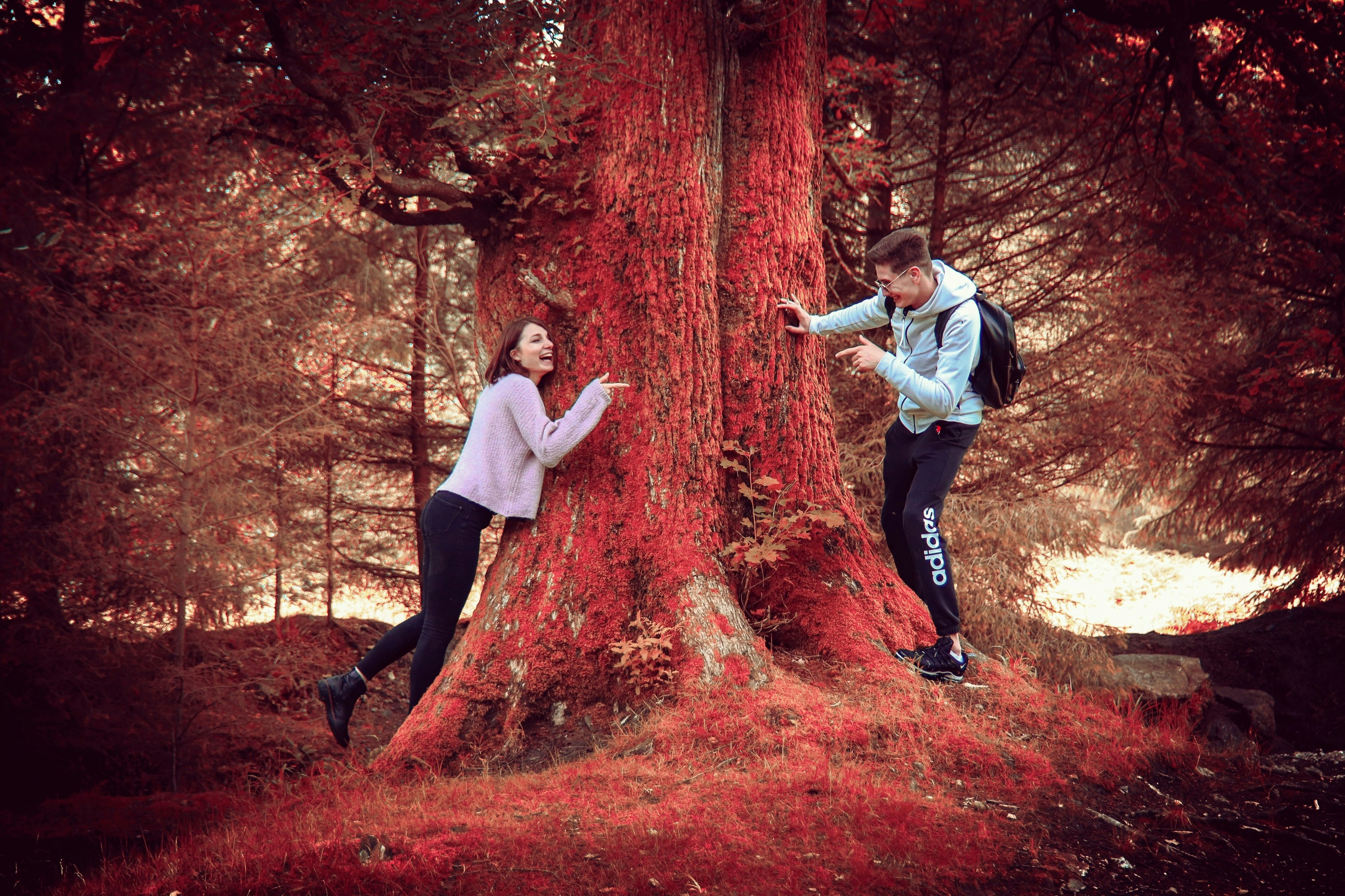 red tree trunk between woman and man
