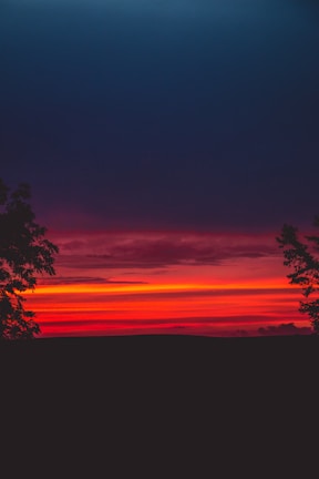 A vibrant sunset representing new beginnings.