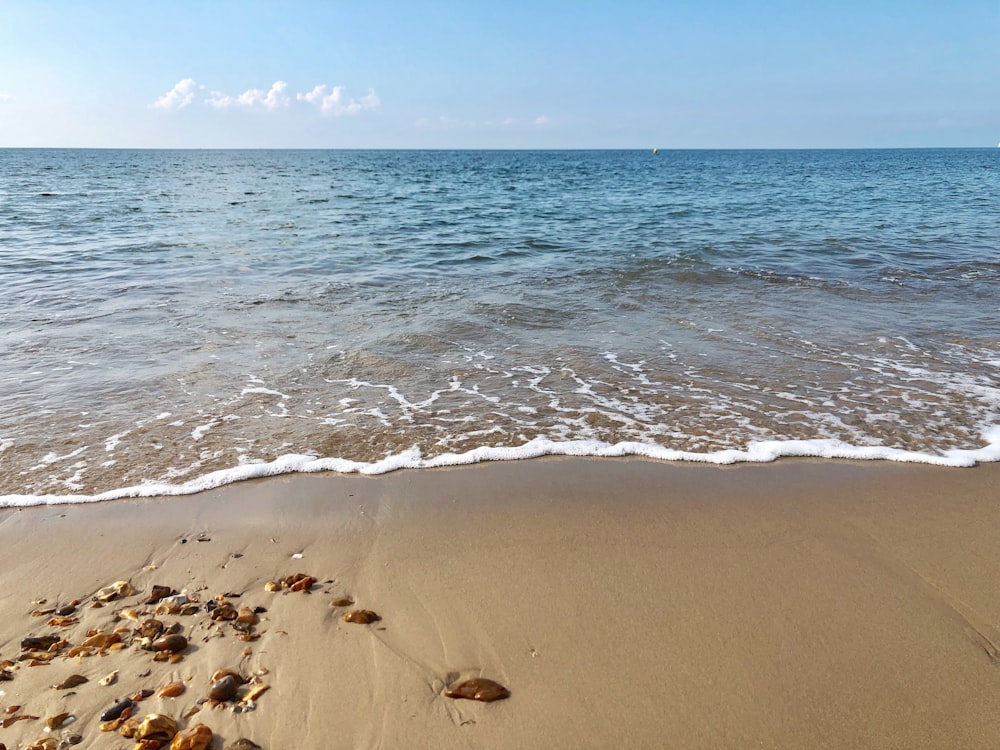 sea under clear blue sky