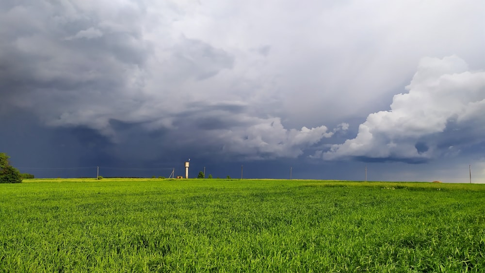 white tower in open fields during daytime