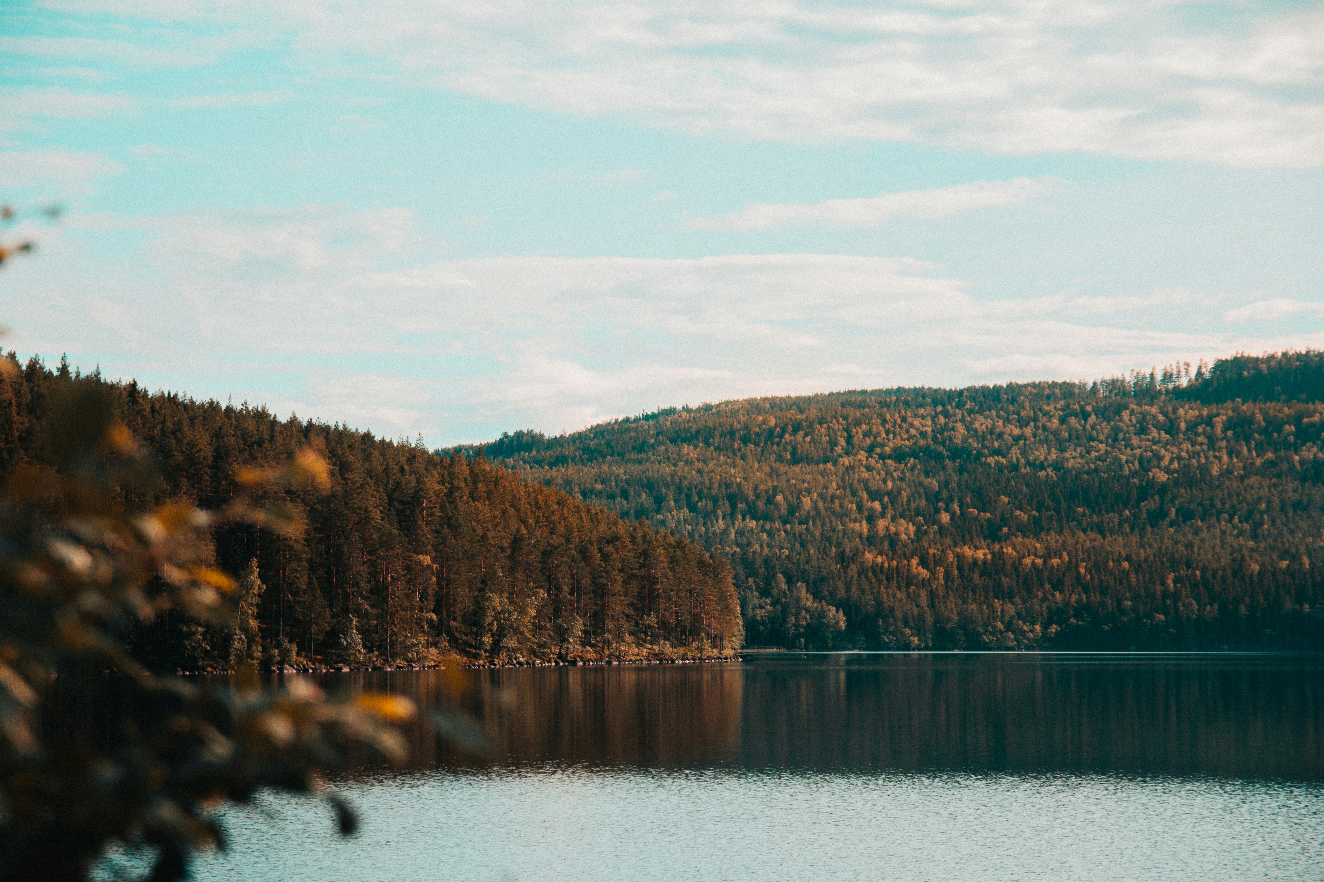 Photo by christian_gennari