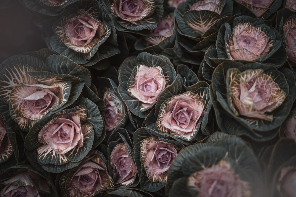 flower bouquet