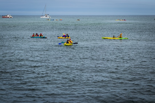 Several kayakers are paddling on a calm body of water. The scene includes multiple groups of people in brightly colored kayaks, wearing life jackets and enjoying the outdoor activity. In the background, there are other boats, including a sailboat and a passenger boat.