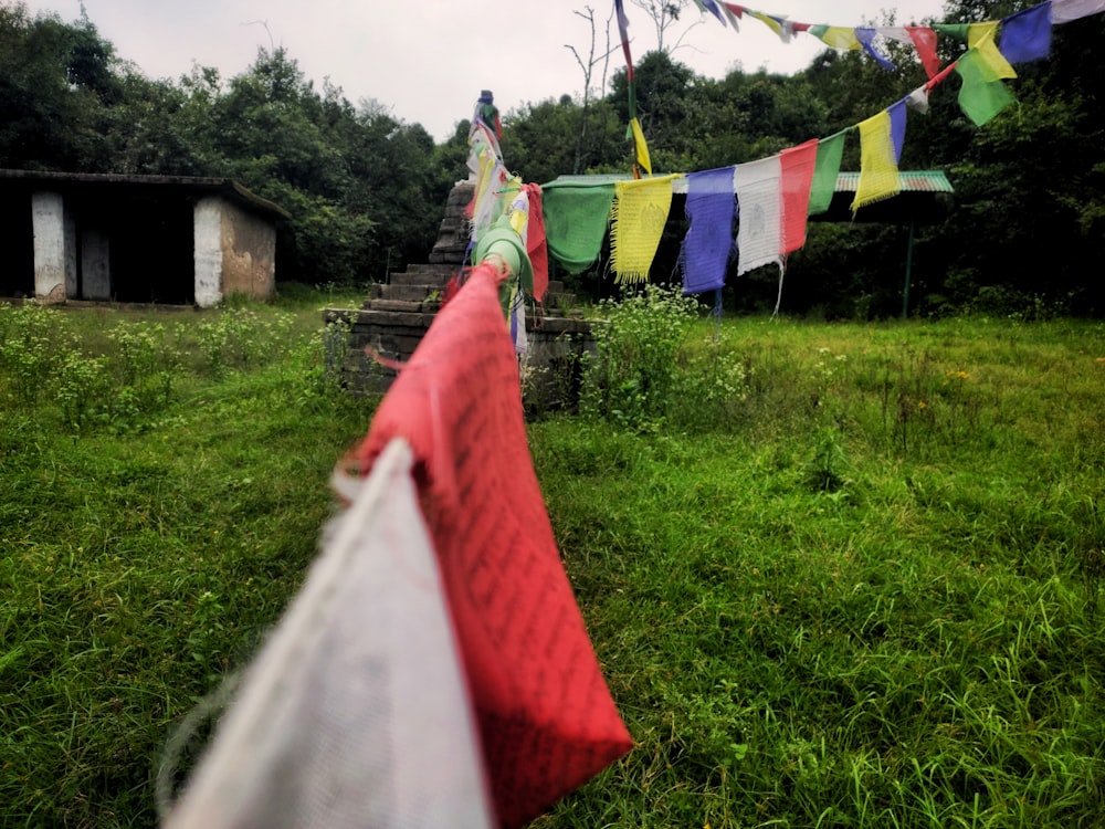 multicolored banners hanging in yard