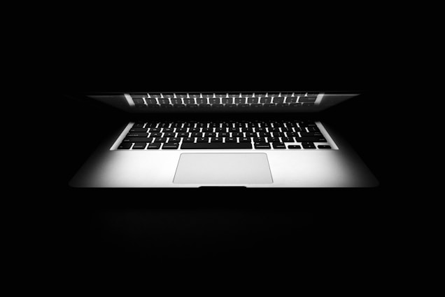 gray laptop computer