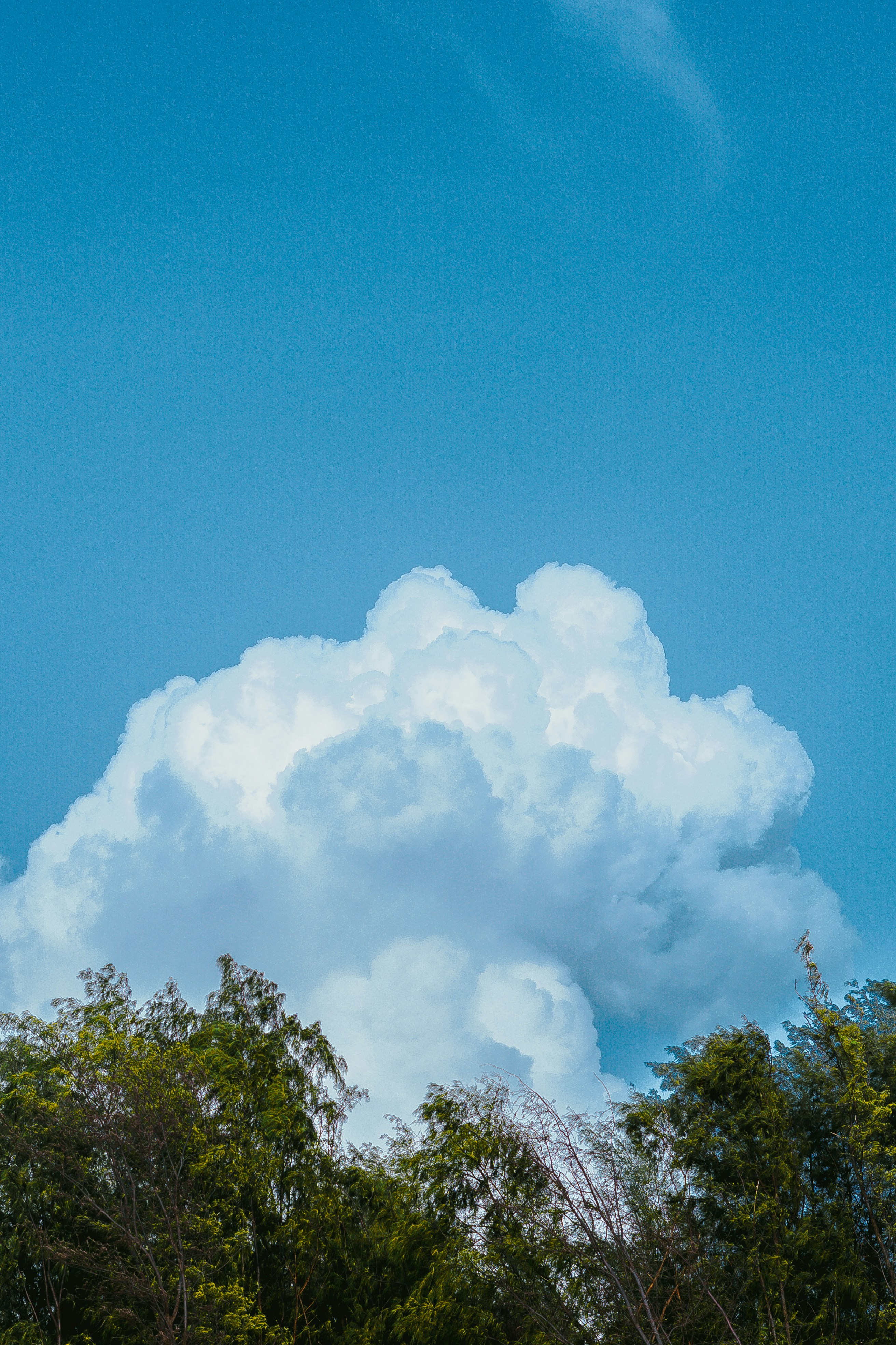 Photo by soakedinnirvana