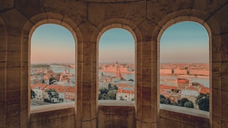 brown concrete building