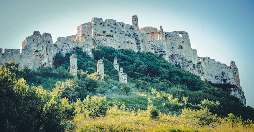 castle near forest