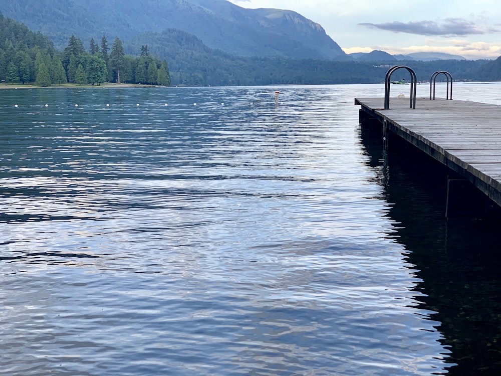 pontile di legno sopra lo specchio d'acqua durante il giorno