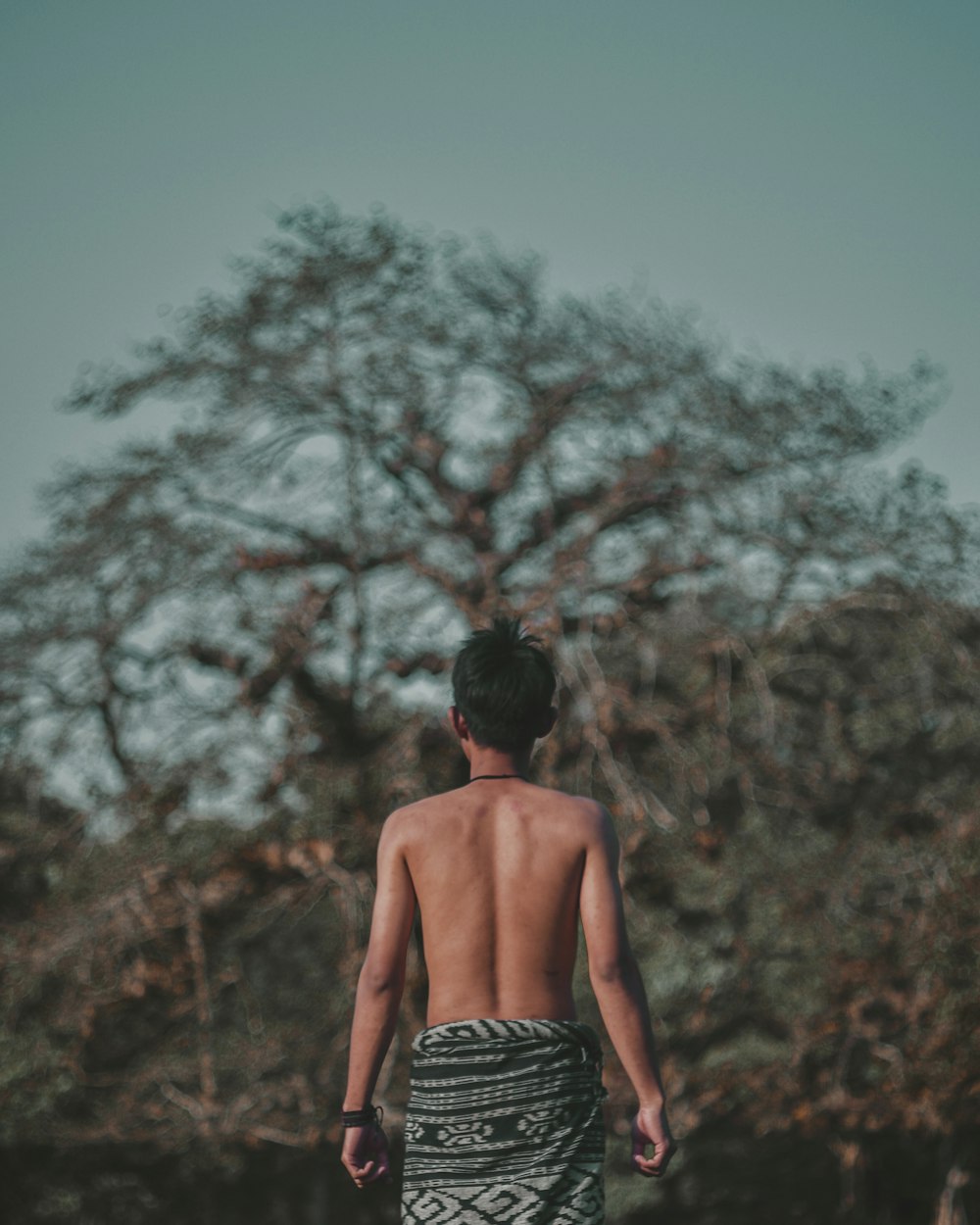 Homem de topless na floresta