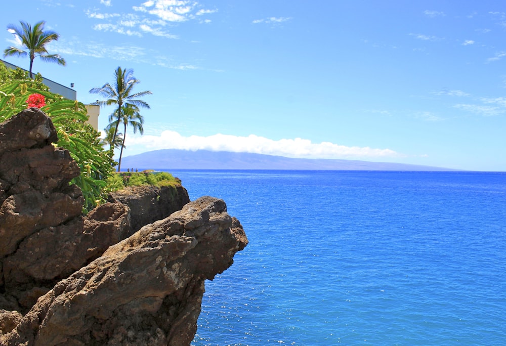 cliff near sea