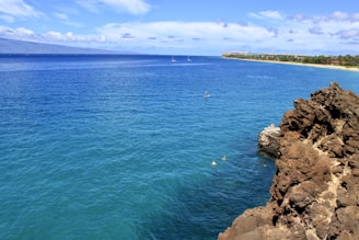 A clear blue ocean stretches out to the horizon with a rocky shoreline in the foreground. A sandy beach and a line of lush greenery can be seen in the distance, along with some buildings. Several people are swimming and paddleboarding in the water, enjoying a sunny day.