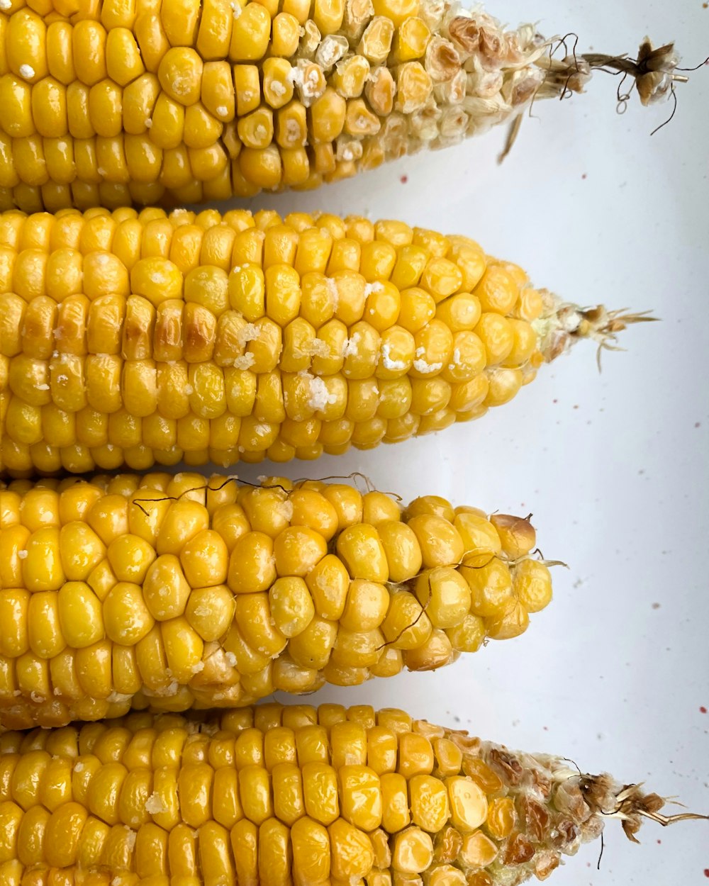 Tres mazorcas de maíz sobre una superficie blanca