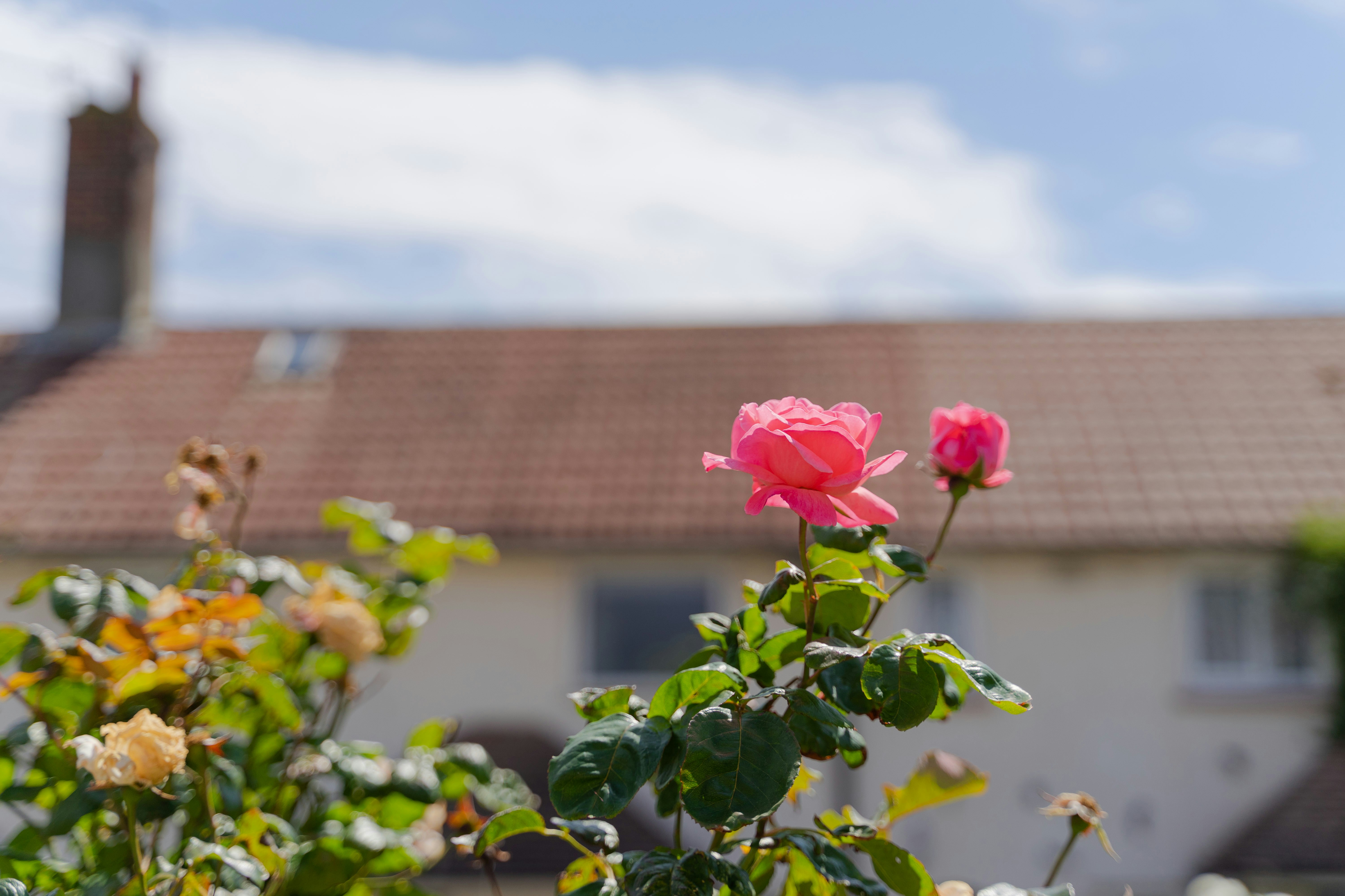 Photo by scienceisnature