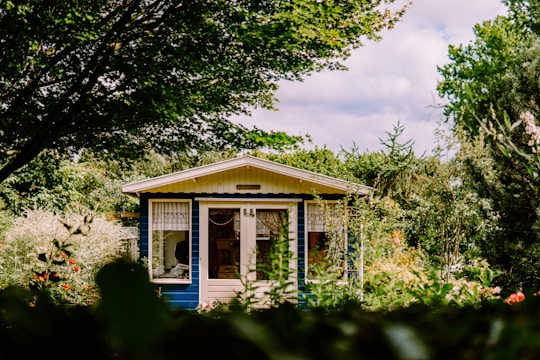 white and blue house surrounded by green trees