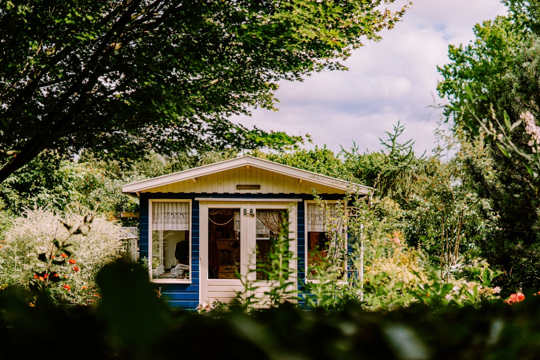 white and blue house surrounded by green trees