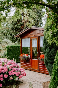 A small wooden garden shed with a glass door, flanked by windows with lace curtains. Red and purple flowers in pots are placed outside the windows. Surrounding the shed are well-maintained hedges, large trees, and a vibrant bush with pink flowers. A paved pathway leads to the shed.