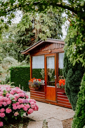 A small wooden garden shed with a glass door, flanked by windows with lace curtains. Red and purple flowers in pots are placed outside the windows. Surrounding the shed are well-maintained hedges, large trees, and a vibrant bush with pink flowers. A paved pathway leads to the shed.