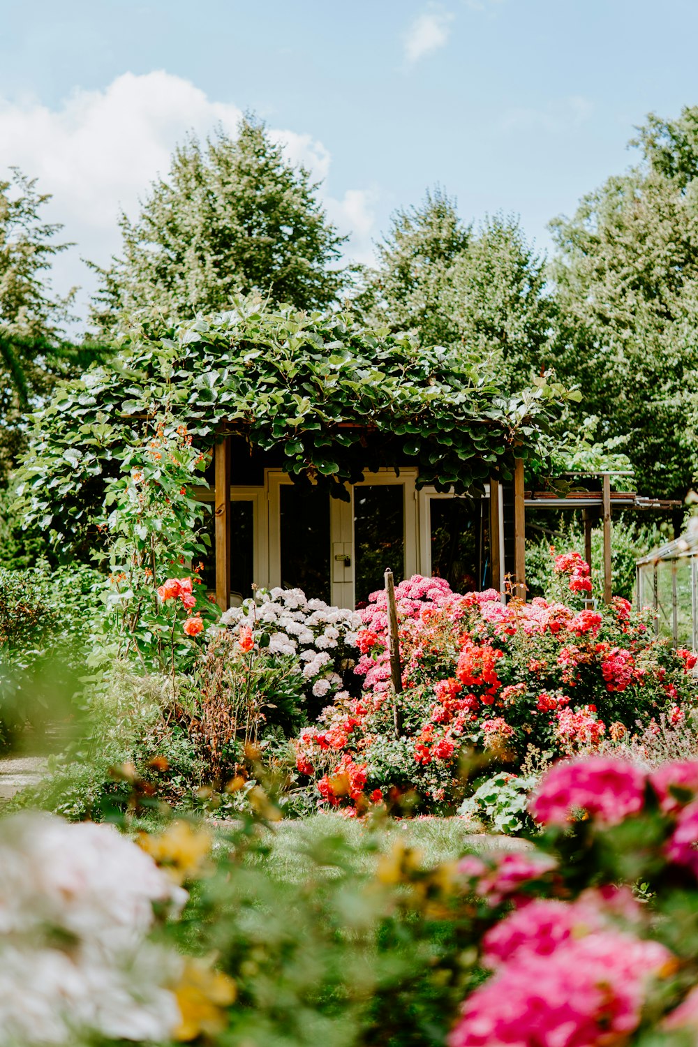Edificio cubierto de plantas verdes y rodeado de flores de pétalos