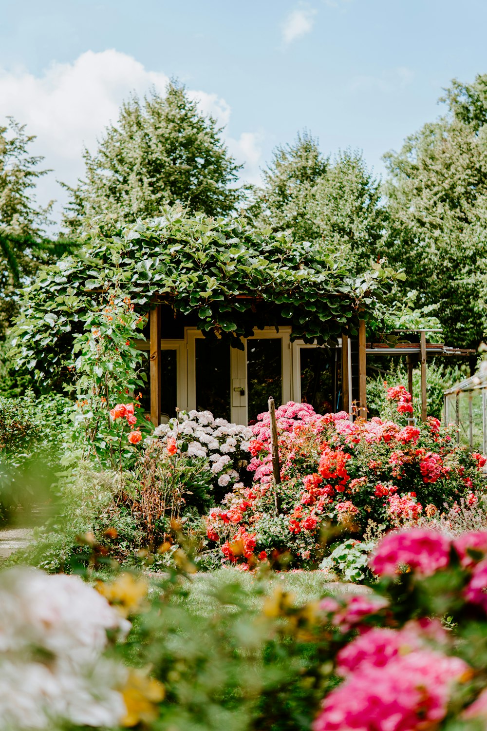 Edifício coberto de plantas verdes e cercado por pétalas de flores