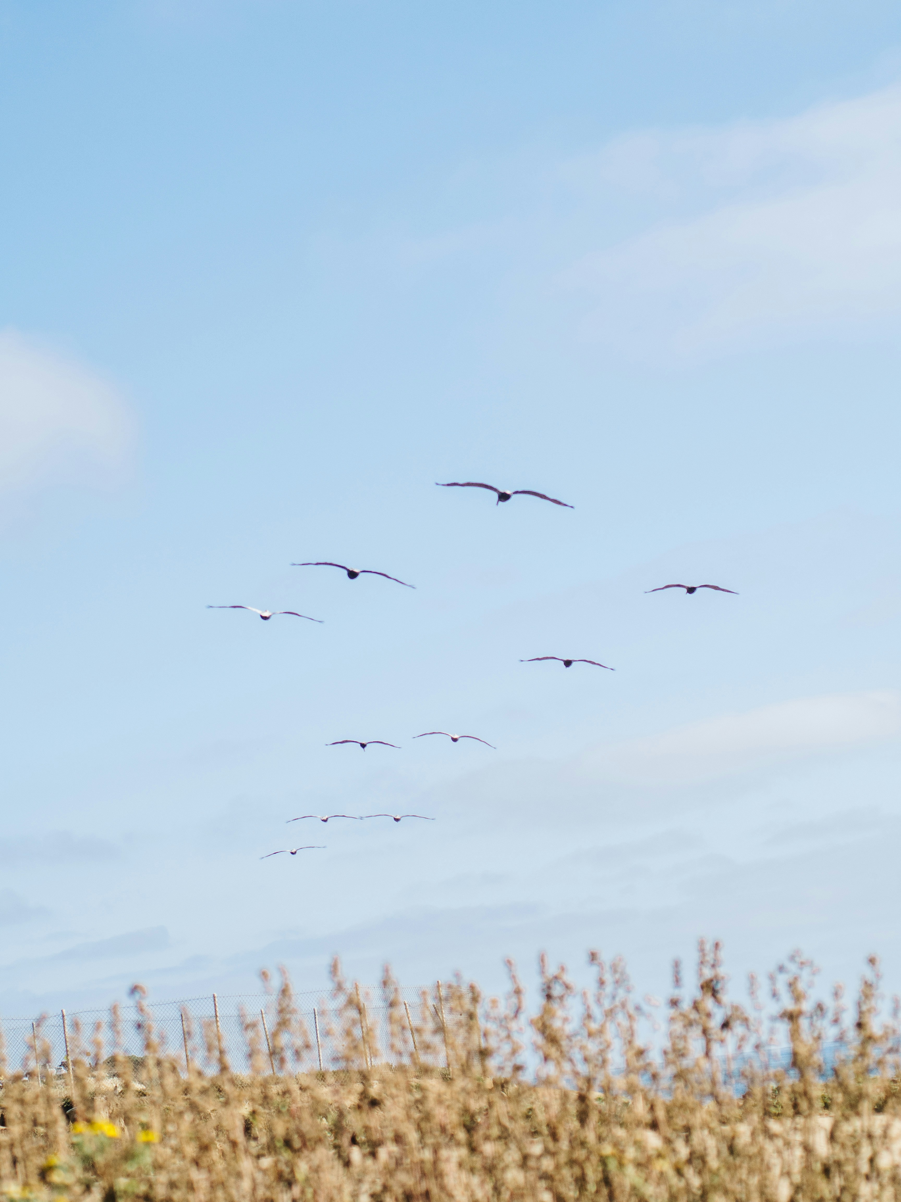 Photo by charlesetoroma