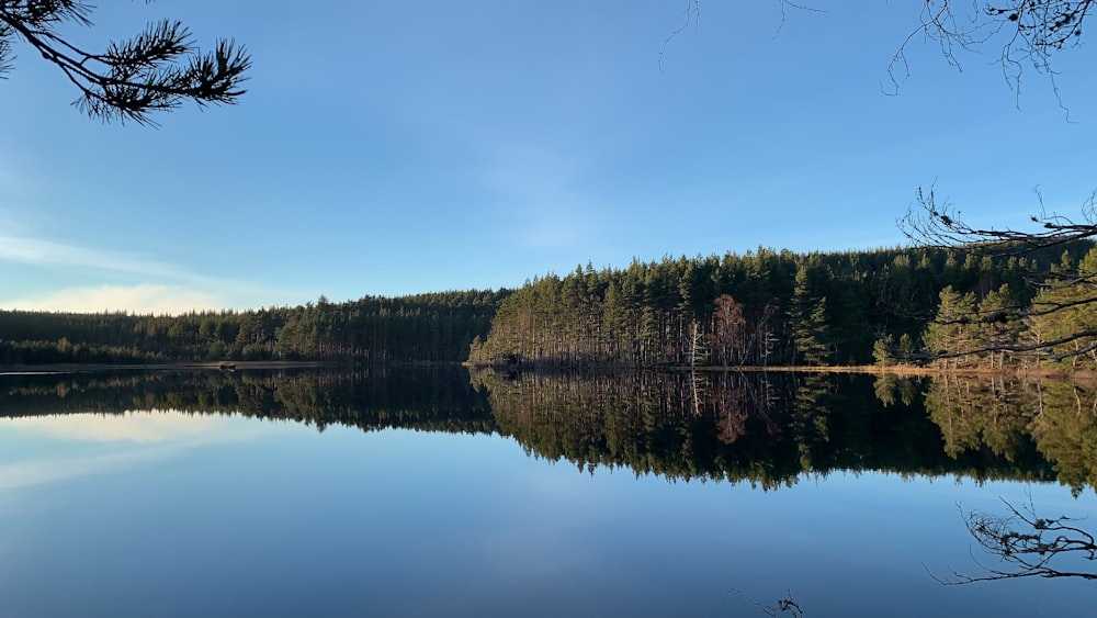 calm body of water near trees during daytime