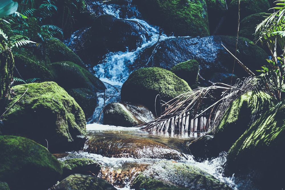 stone and water during daytime