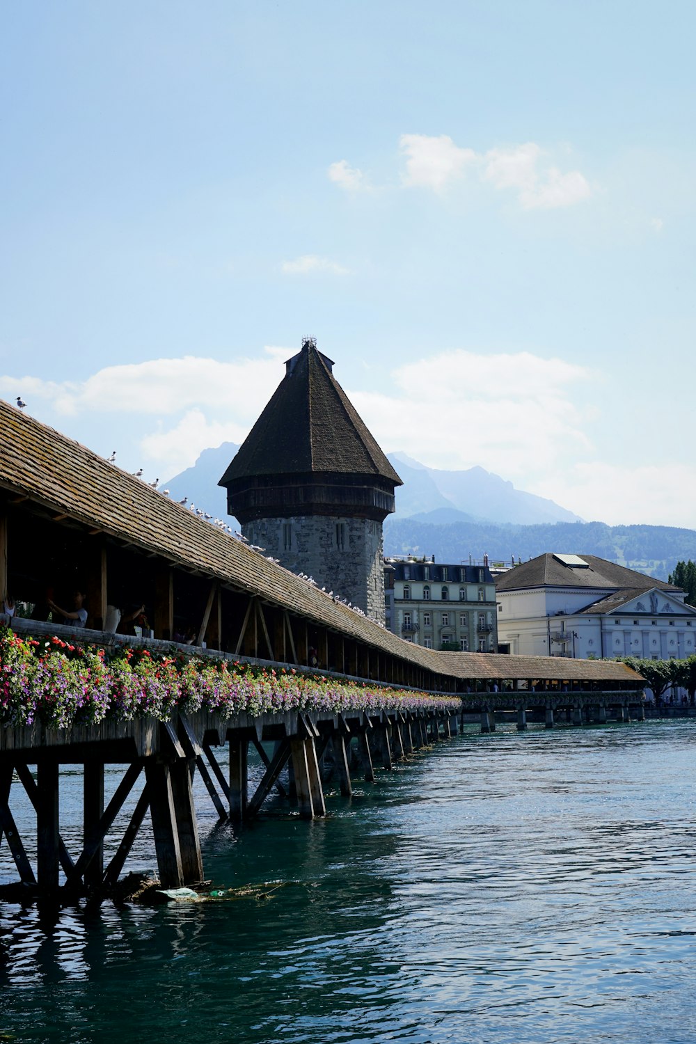 a wooden pier with flowers growing on it