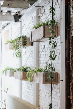 Several wooden planters containing various green plants are suspended on a white brick wall. The planters hang in a staggered line, and vines of ivy extend downward. The rustic aesthetic contrasts with the industrial feel of the surrounding structure, creating a natural yet urban ambiance.