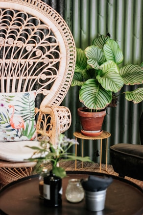 A wicker chair with intricate patterns sits to the side, accompanied by a decorative pillow featuring a flamingo design. Next to the chair, a potted plant with large striped green leaves rests on a slender golden table. A round dark coffee table in the foreground displays various items, including a small vase and bottles. The background consists of corrugated green metal sheets, adding a rustic touch to the setting.