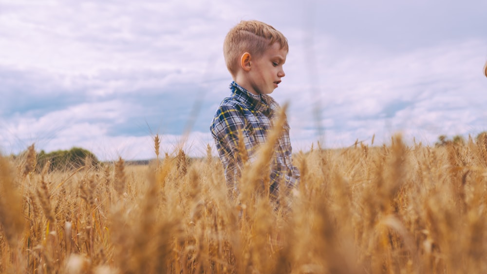 boy standing on bed of brown wheat plants