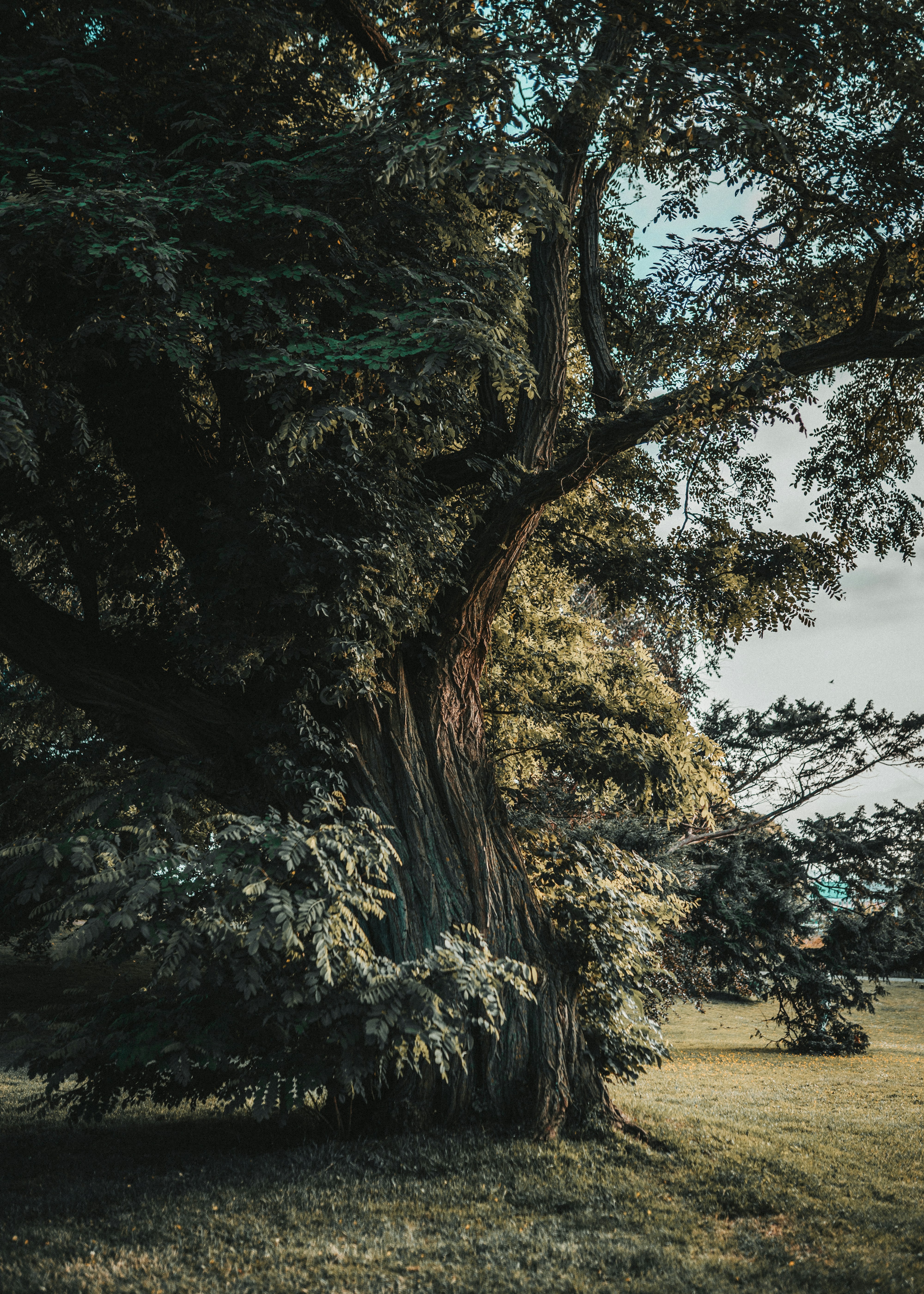 Photo by emilwidlund