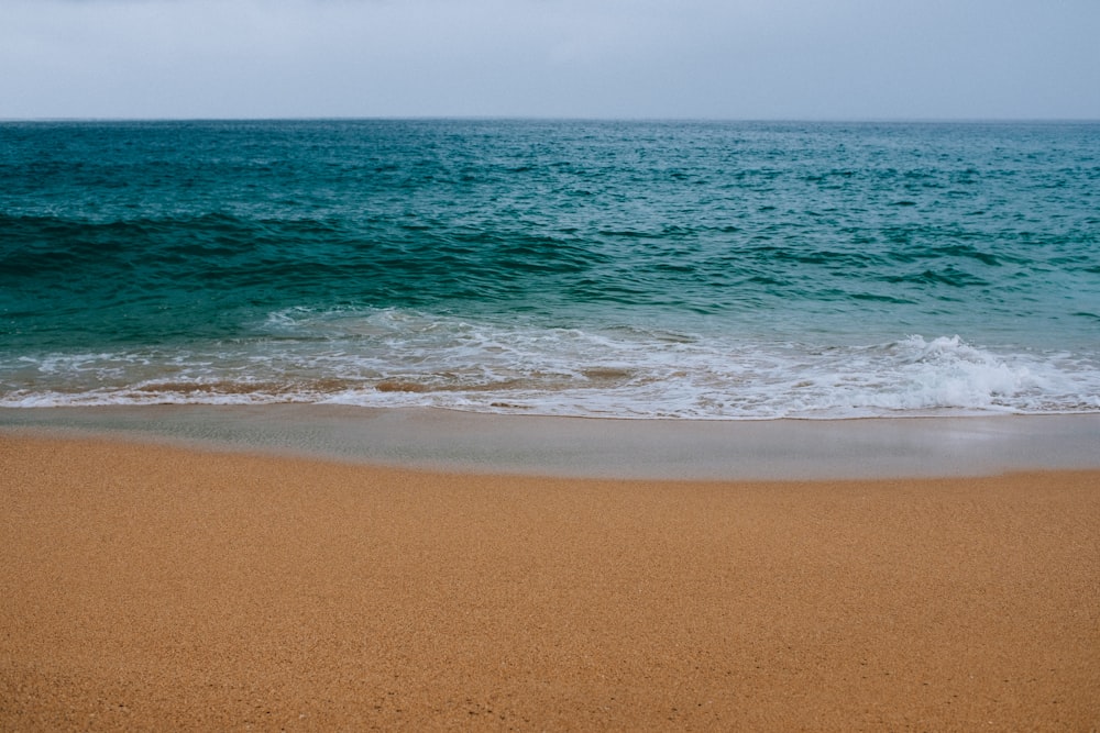 photo of shoreline and ocean waves