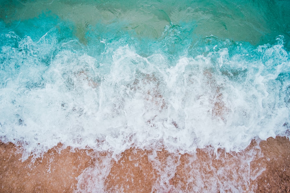 aerial photo of seashore during daytime