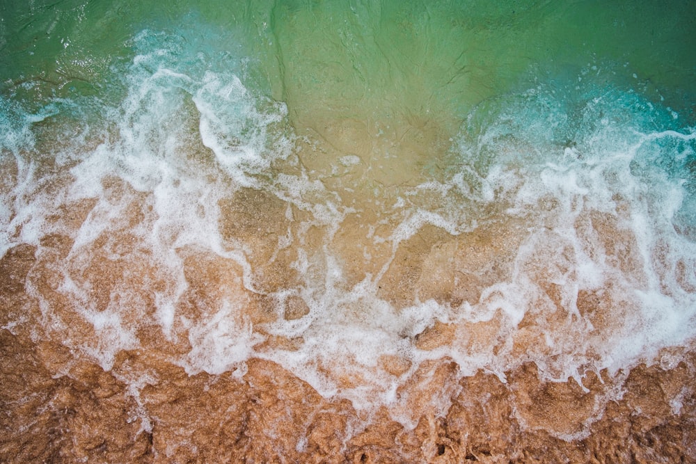 aerial photo of seashore