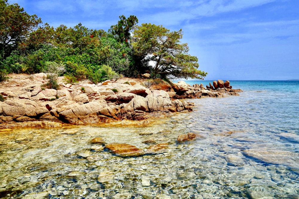 rocks by the body of water