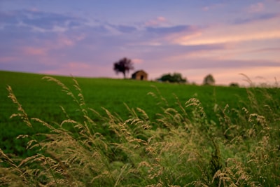 A peaceful green field with a modern house in the background during sunset.
