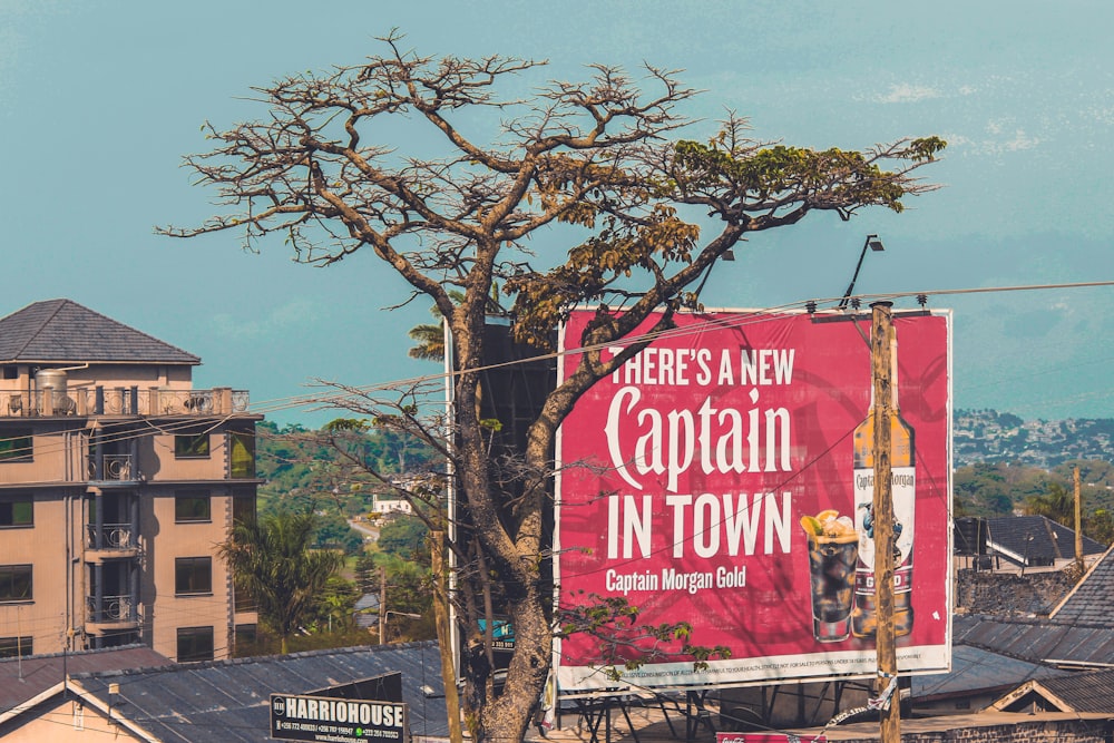 Captain in town billboard beside tree at the city