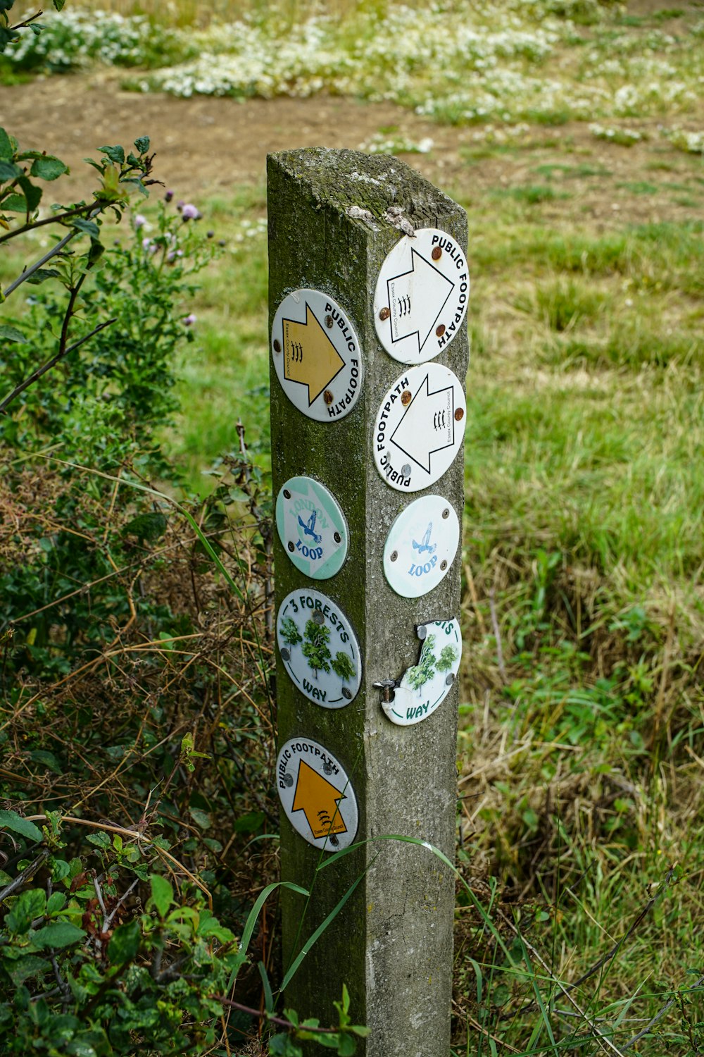 rectangular white and green road sign