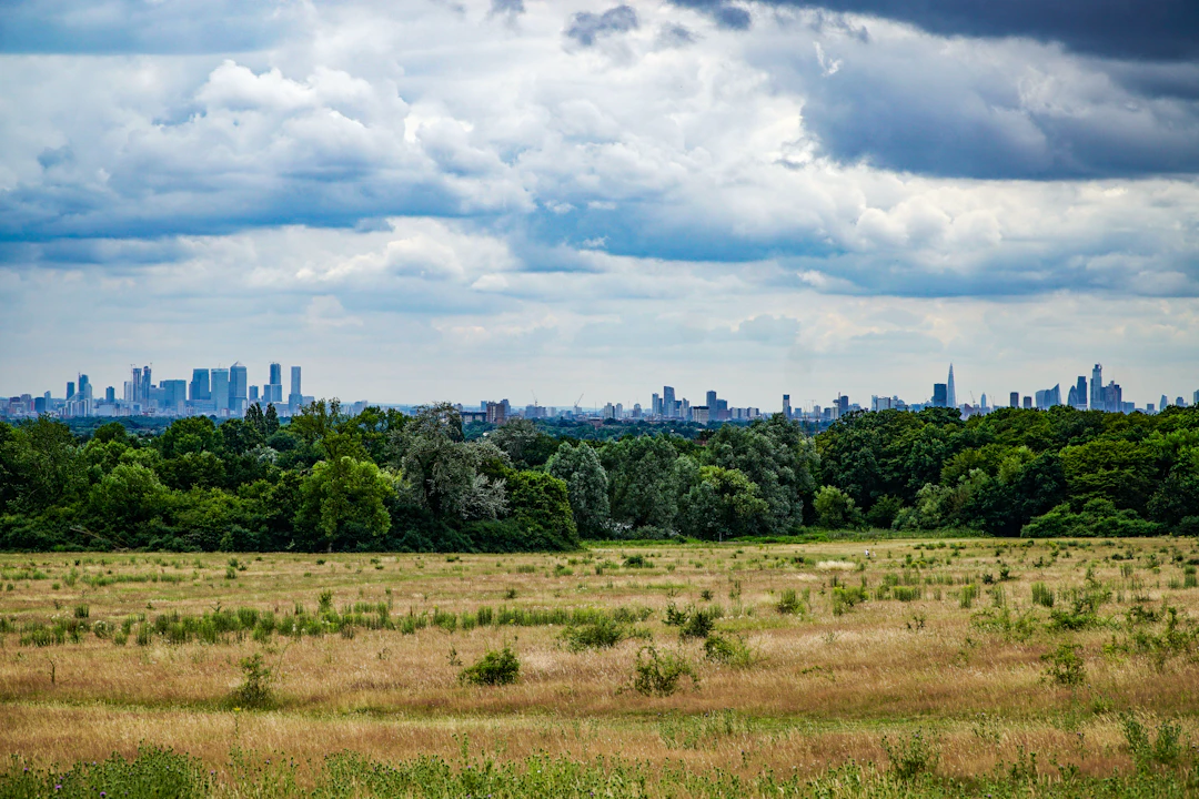 London skyline beyond open parkland beneath clouds