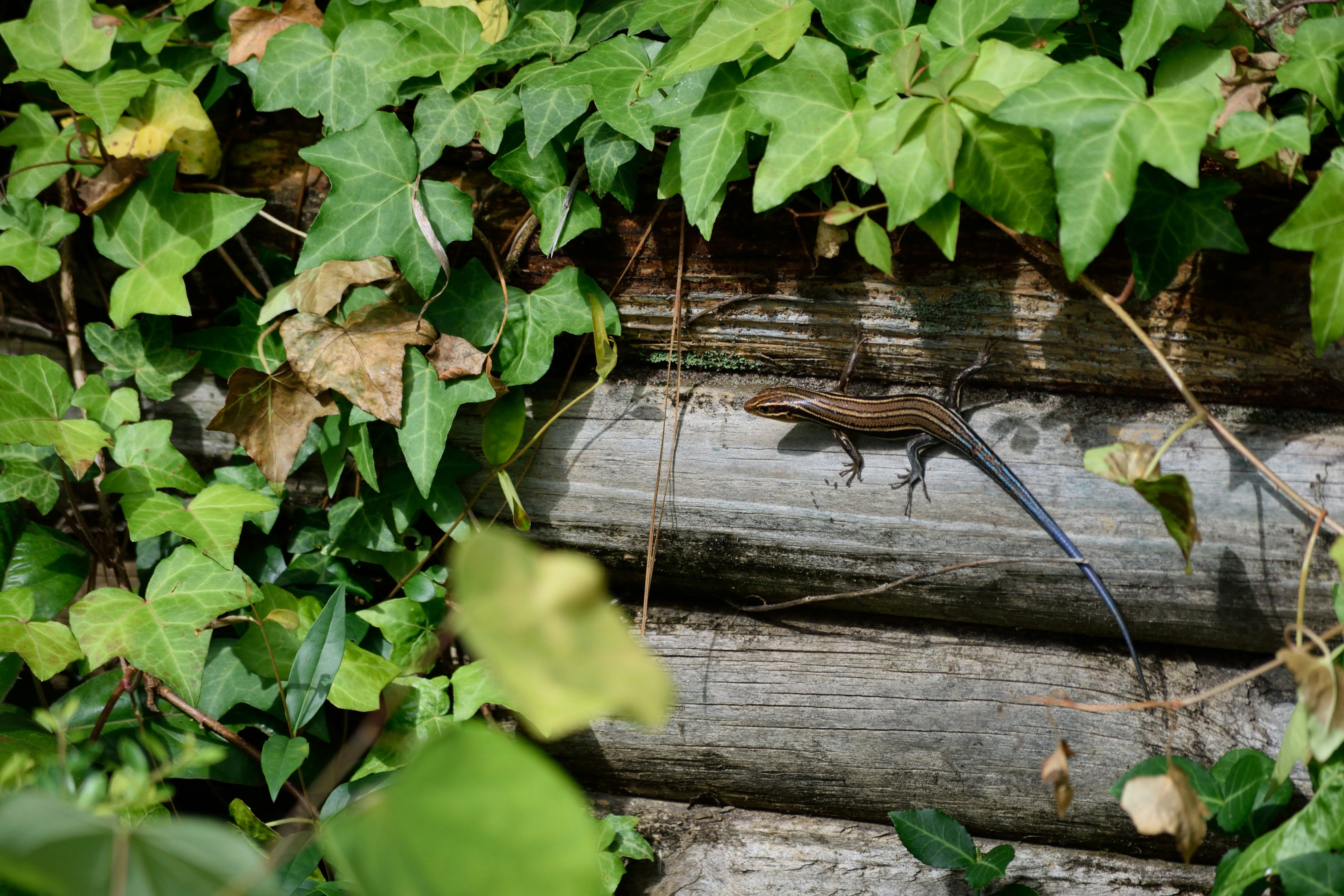 Photo by taylor_smith