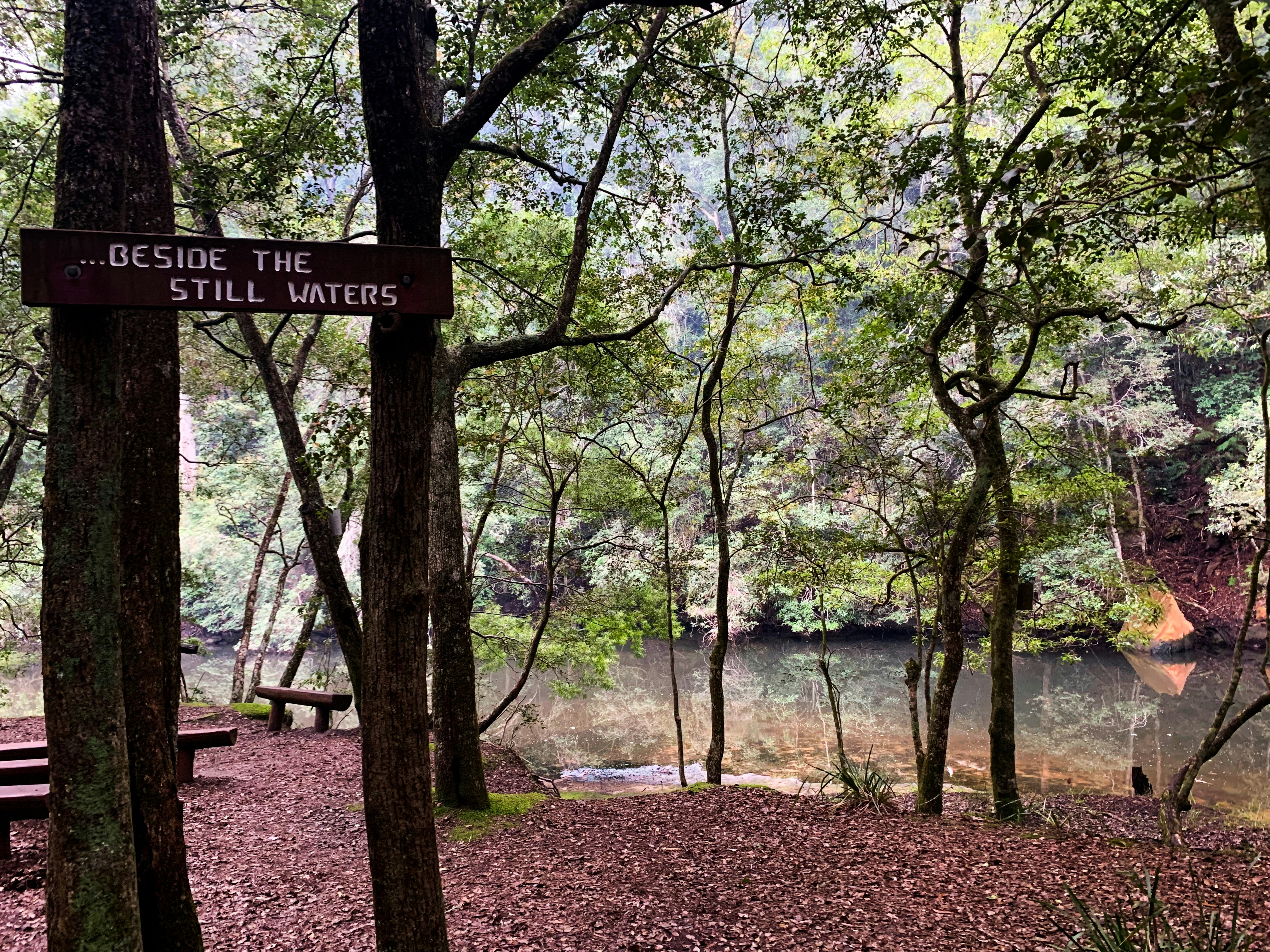 Sycamore Valley Camp