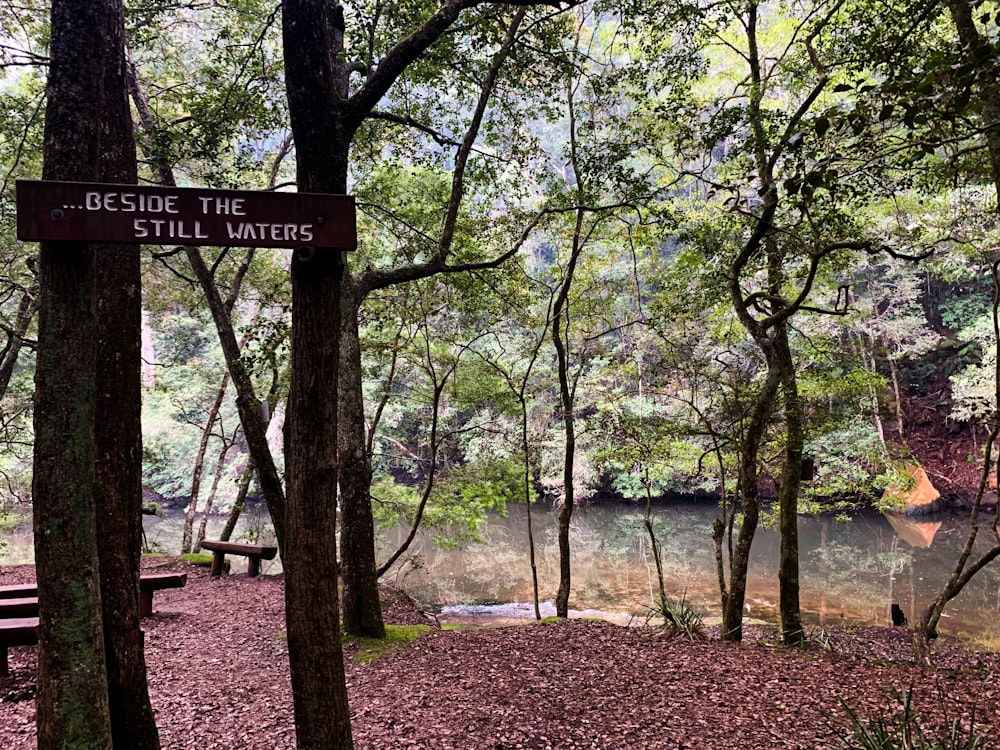 brown and white wooden sign on tree