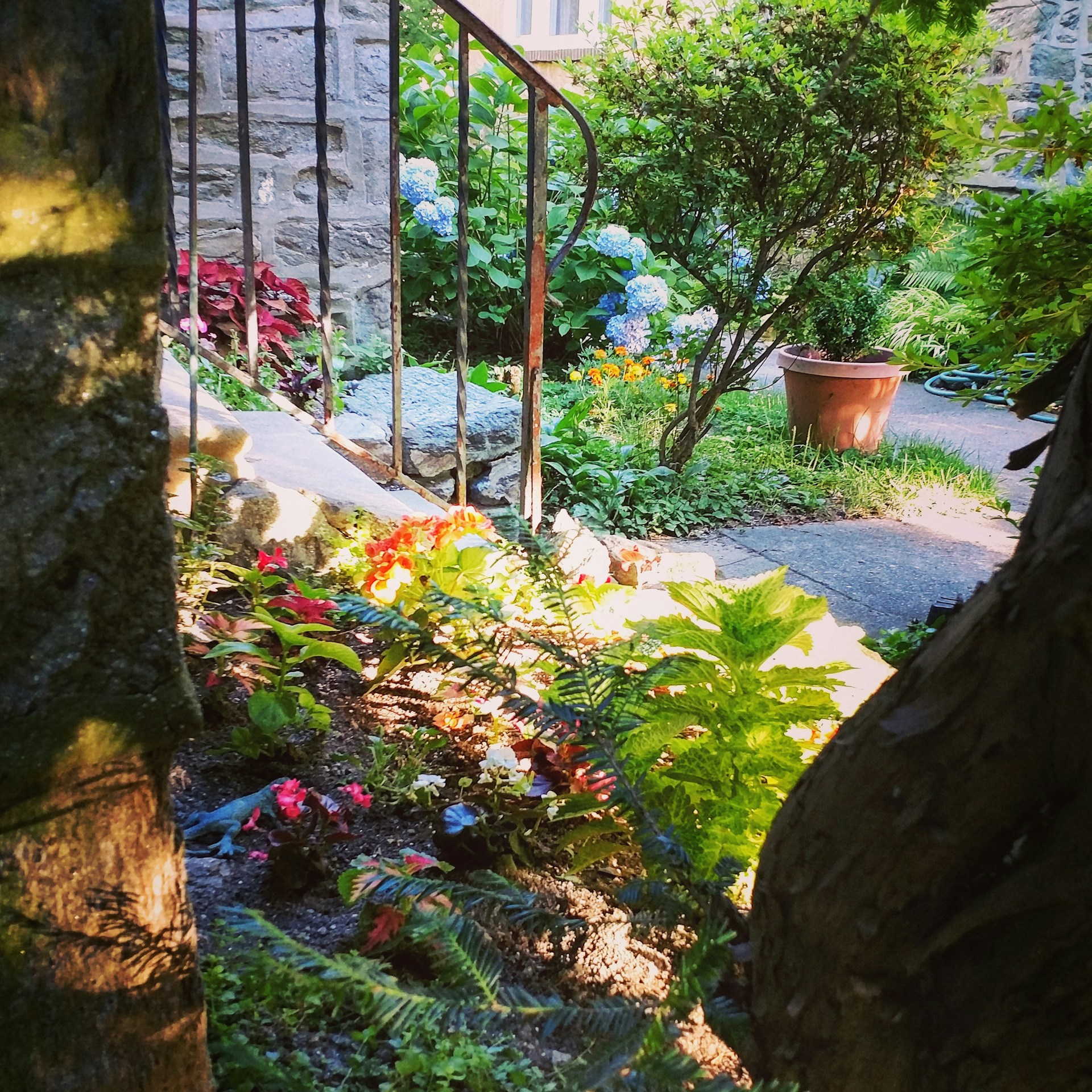 woman wearing yellow long-sleeved dress under white clouds and blue sky during daytime